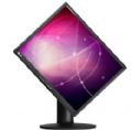 Monitor LG 19 LCD L1942P 4:3 DVI Preto altura ajustável